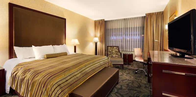 Poco Inn & Suites Hotel — venue photo 3