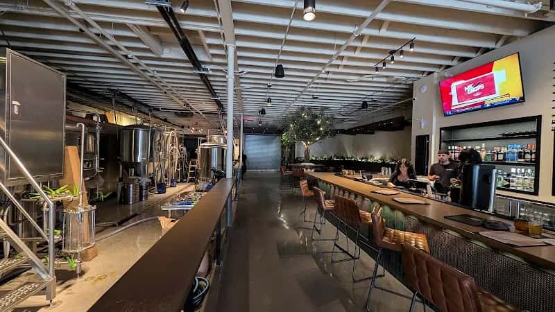 Bad Beat Brewing — venue photo 5