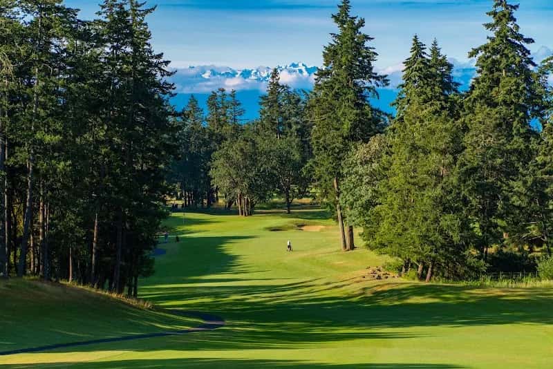 Olympic View Golf Club  — venue photo 2