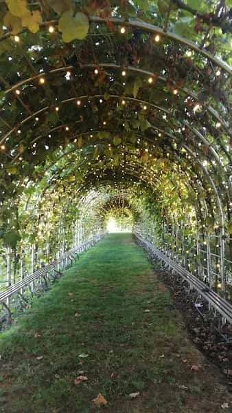 LuLu Island Winery — venue photo 3