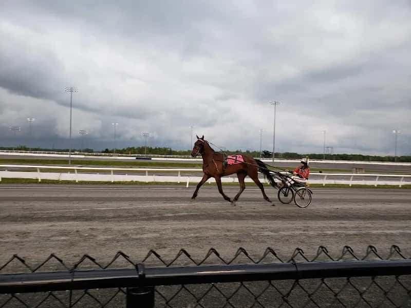 Kawartha Downs and casino — venue photo 5