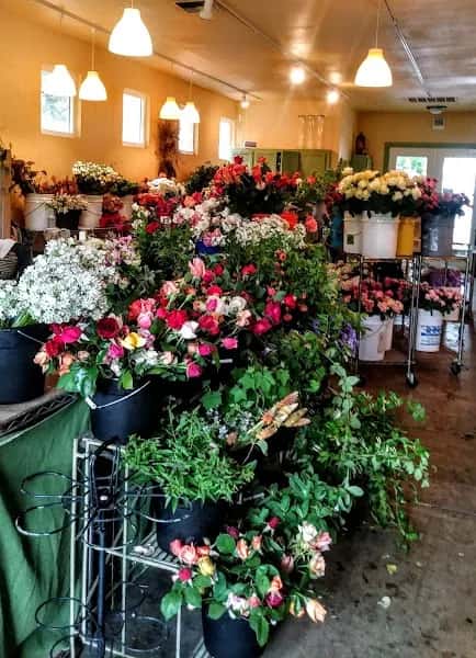 Dragonfly Floral — venue photo 4