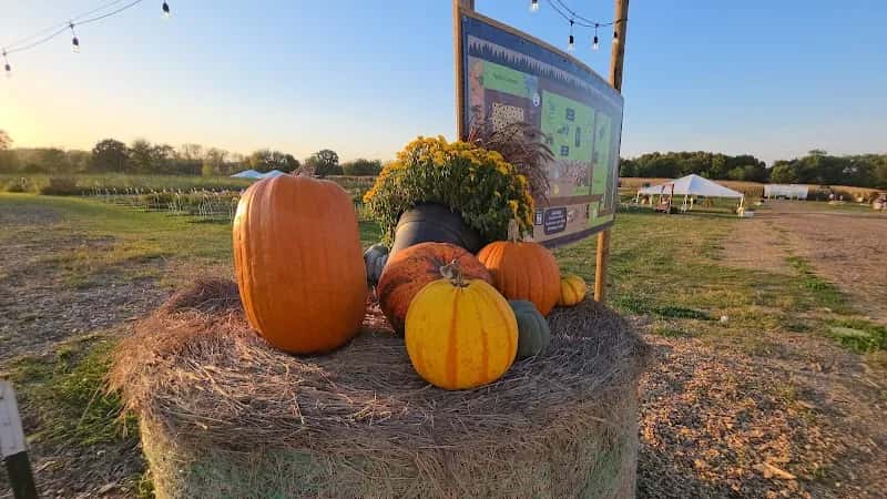 Warm Belly Farm and Garden Center — venue photo 5