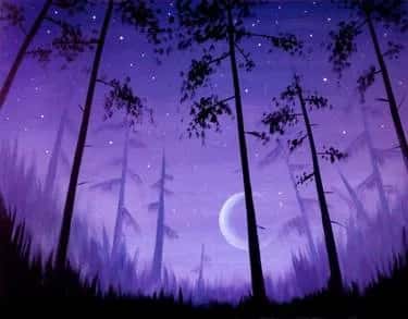 Forest Moonrise