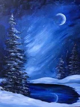 Snow Covered Pines