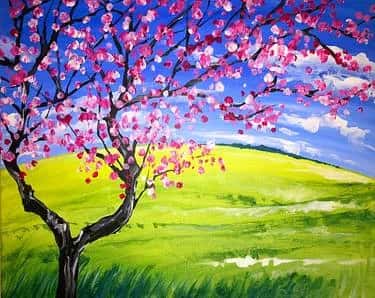 Spring Cherry Blossom
