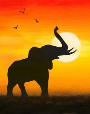 Elephant Sunset