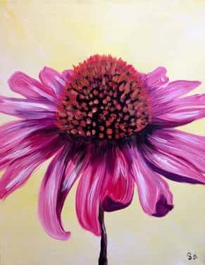 Coneflower Pop