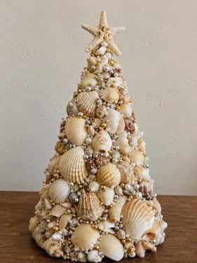 Sea Shell Tree