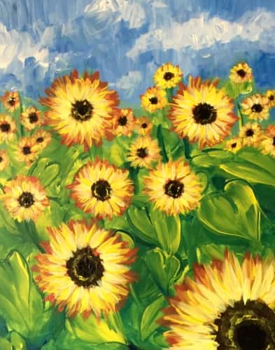 Field of Sunflower Blooms