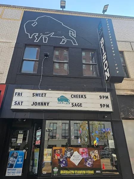 The Neon Bison — venue photo
