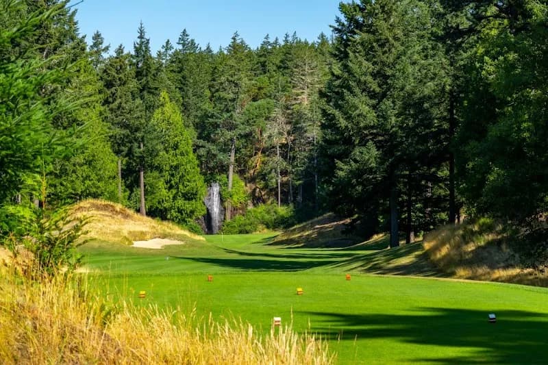 Olympic View Golf Club  — venue photo