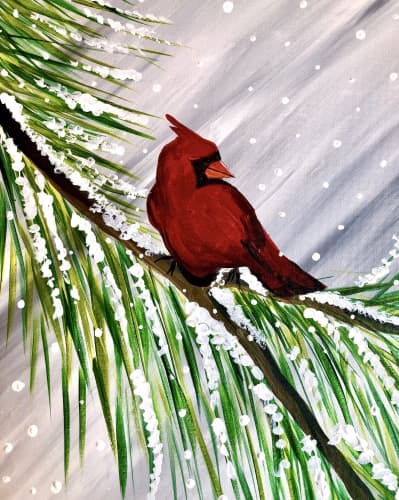 Winter Cardinal Visit