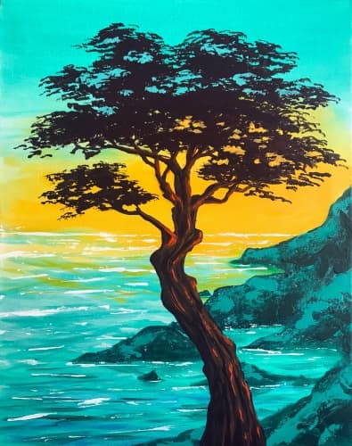 Madrona Cove