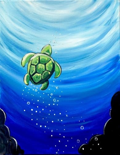 Little Sea Turtle