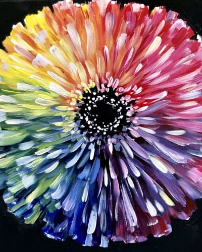 Rainbow Zinnia