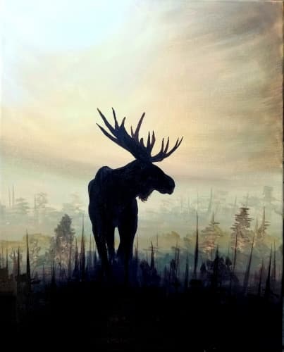 Misty Morning Moose