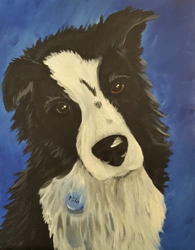 Paint Your Pet