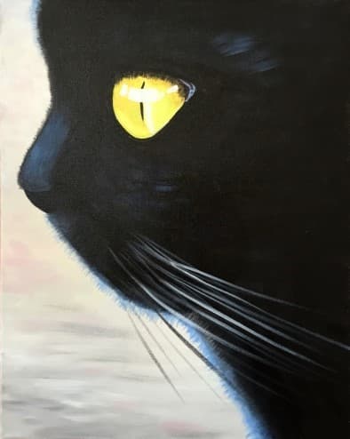 Cat Noir