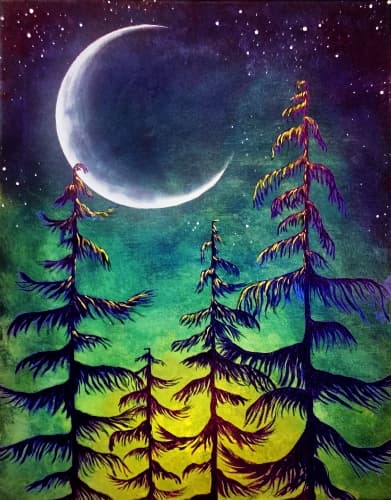 Midnight Moonlight