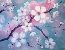 Cherry Blossoms