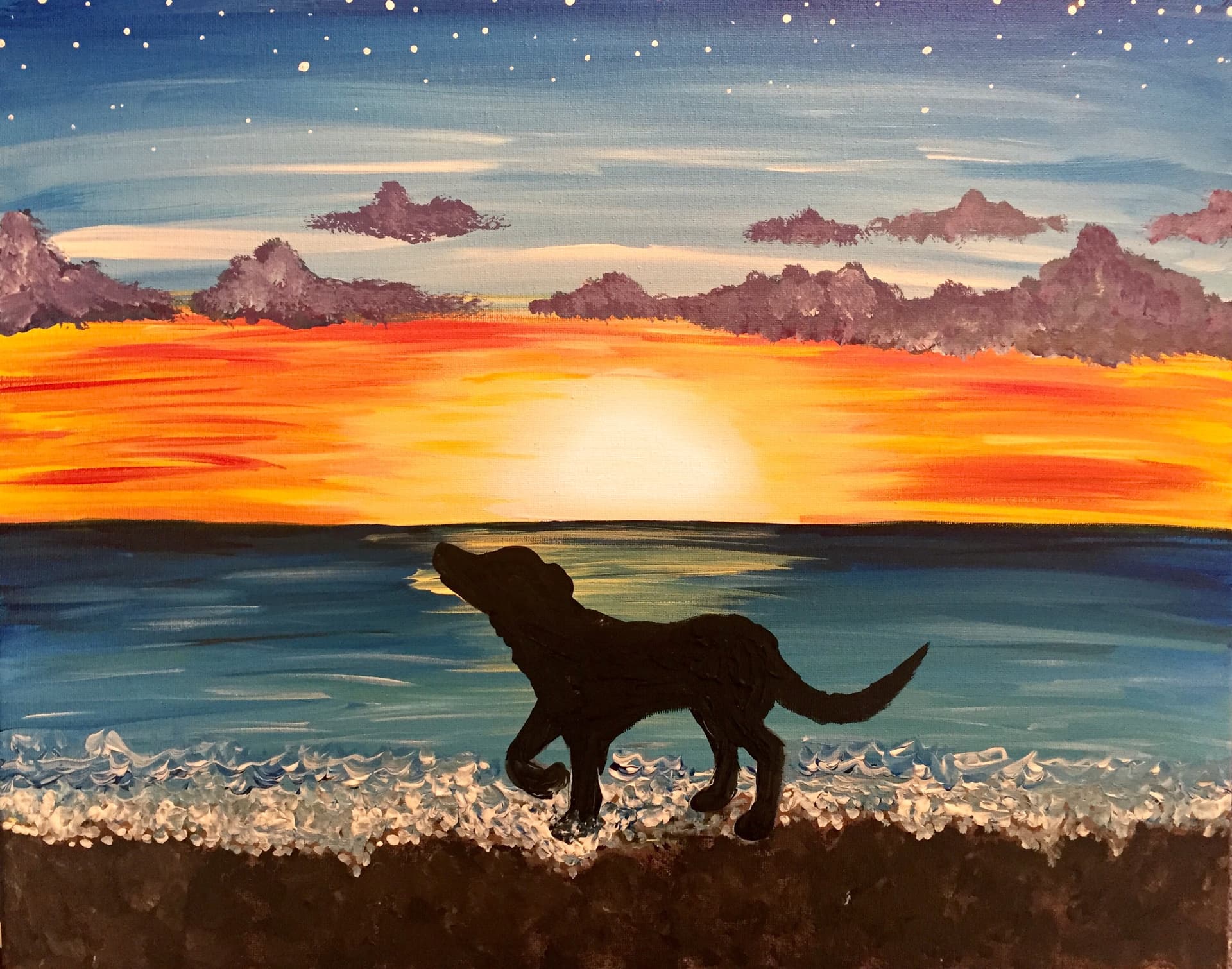 Dog on the Beach