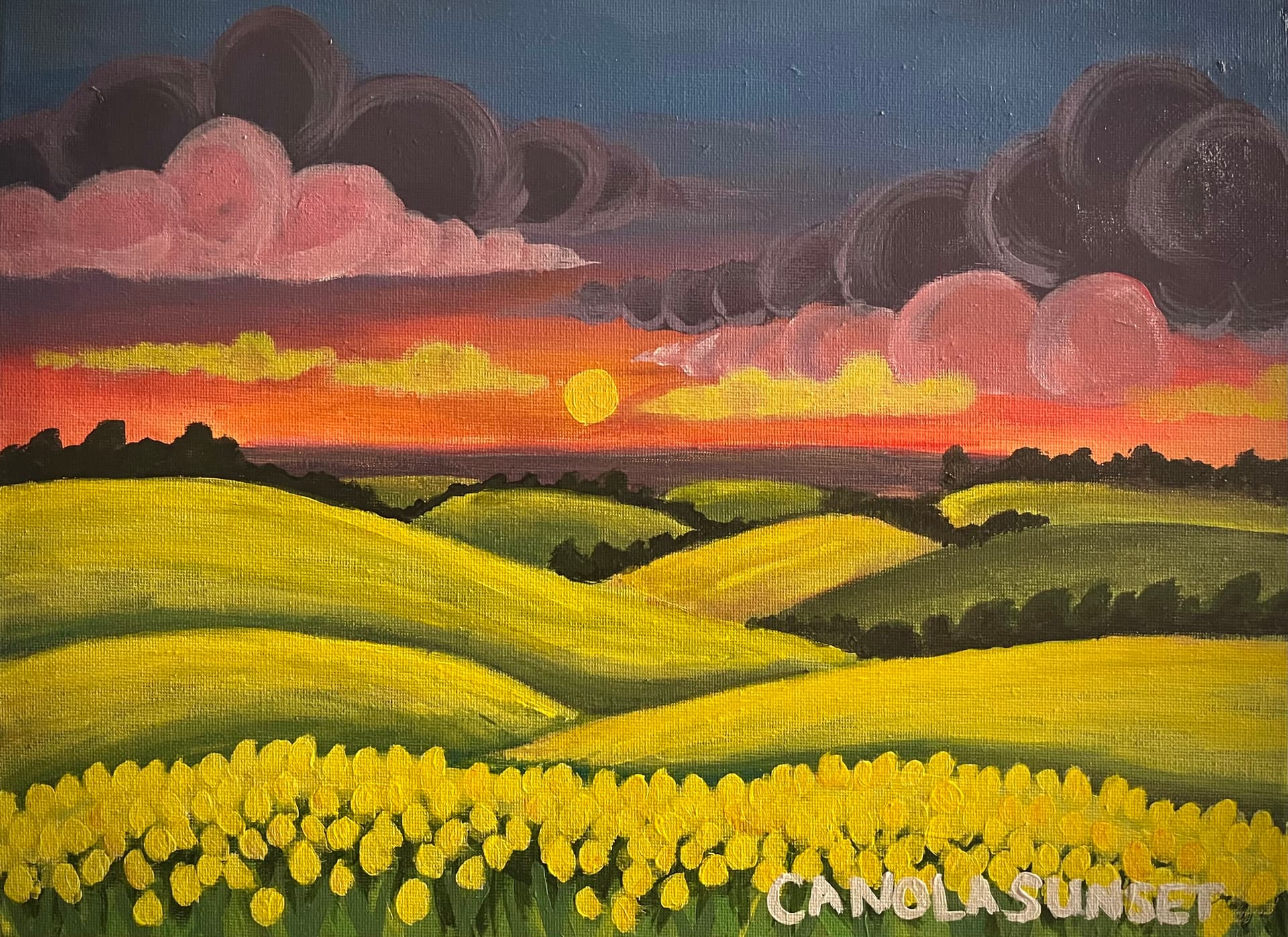 Canola Sunset 