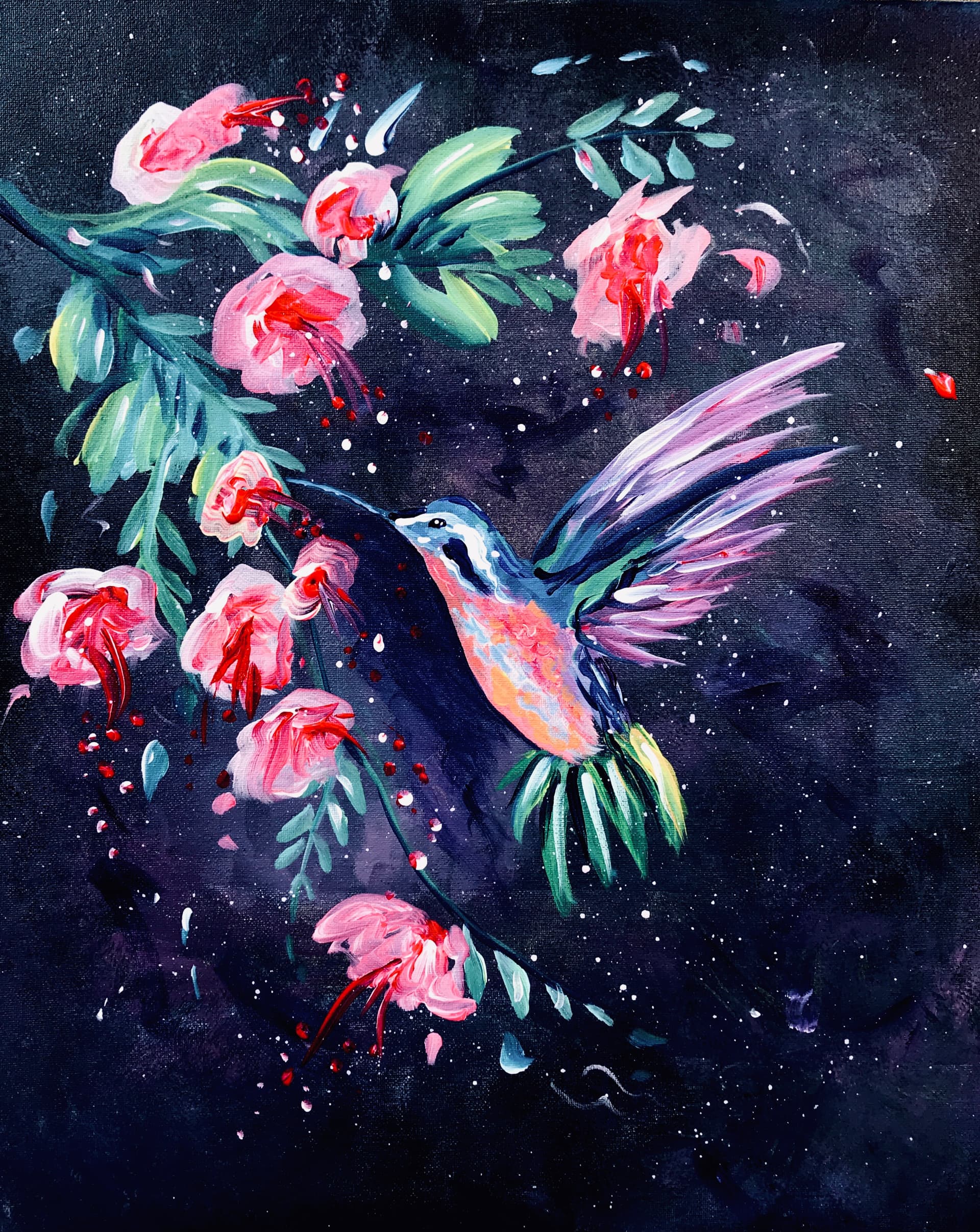 Hummingbird Splash