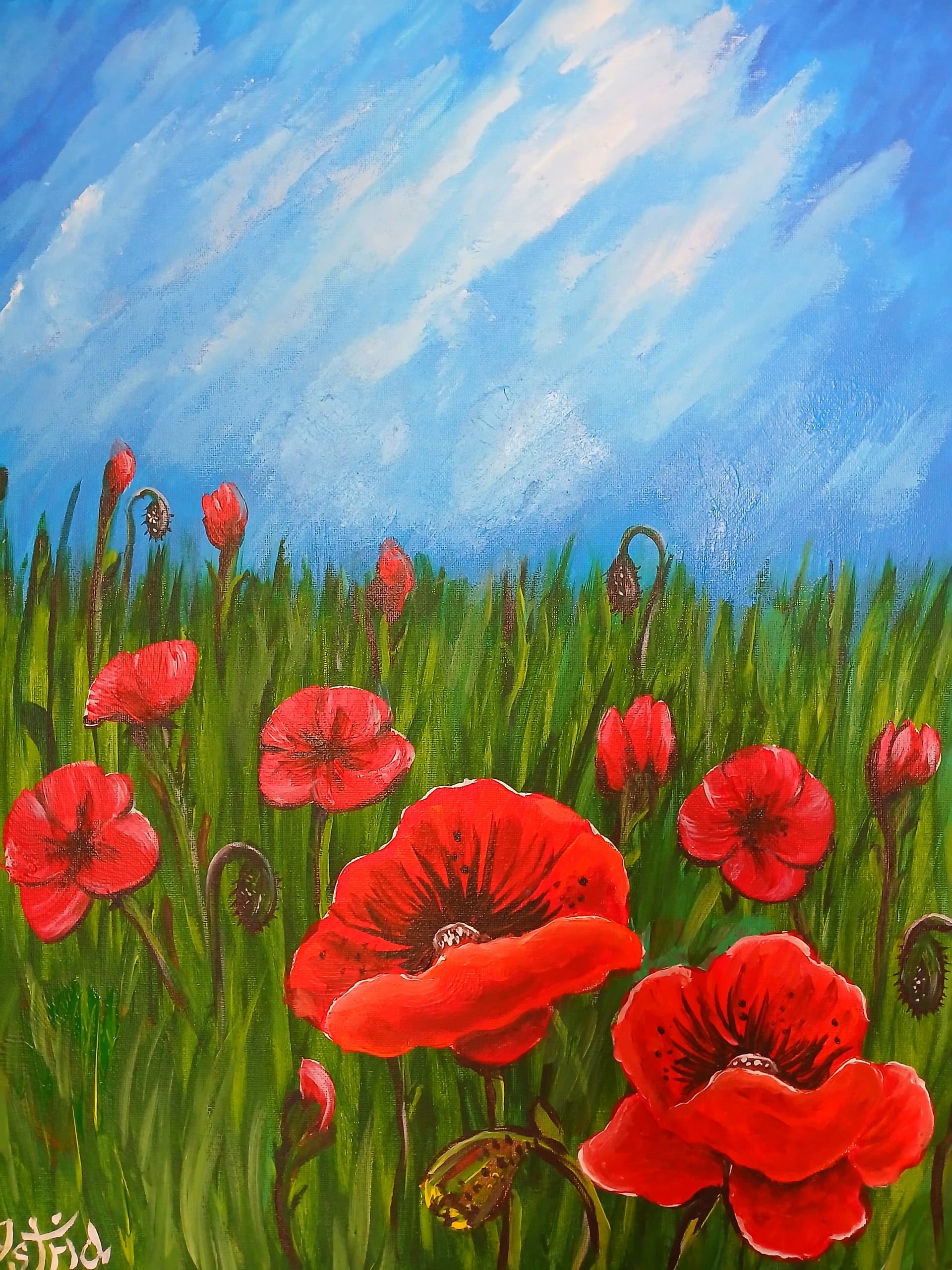 Wild Poppies