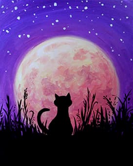 Harvest Moon Kitty