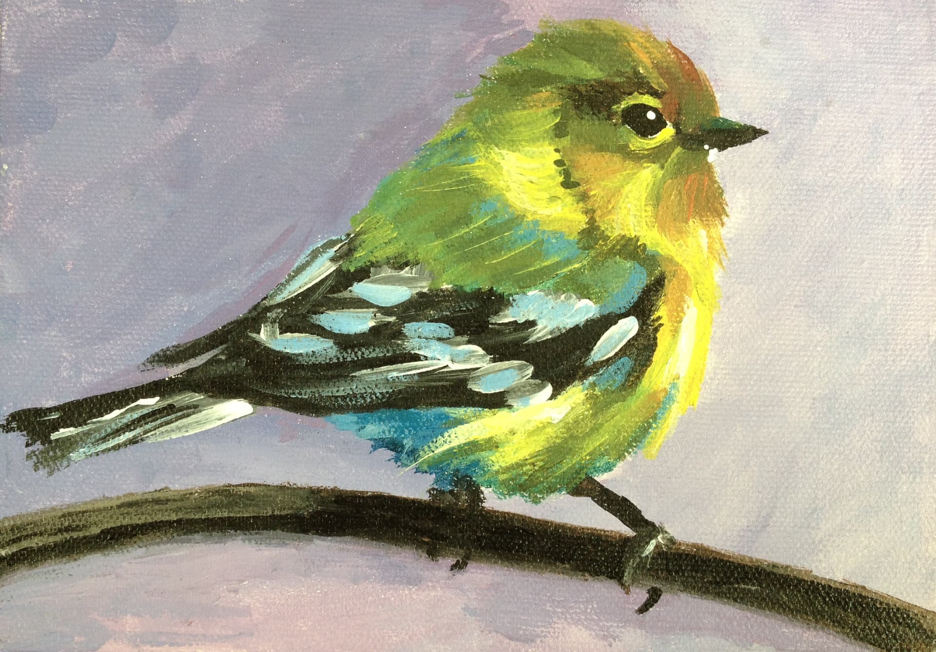Pretty Bird