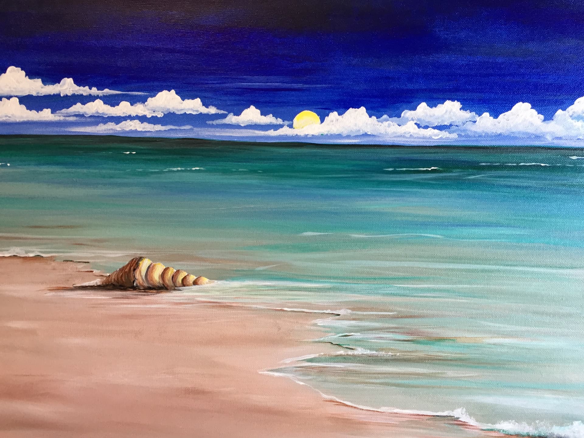 Little Seashell