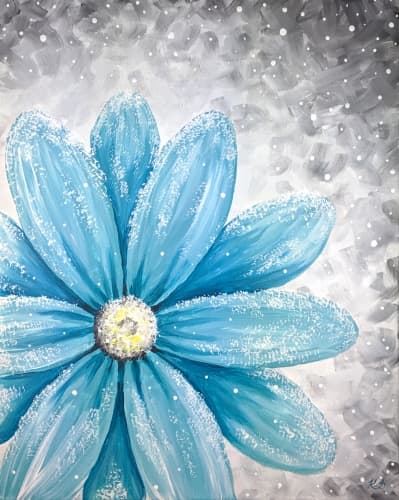 Snow Dusted Daisy
