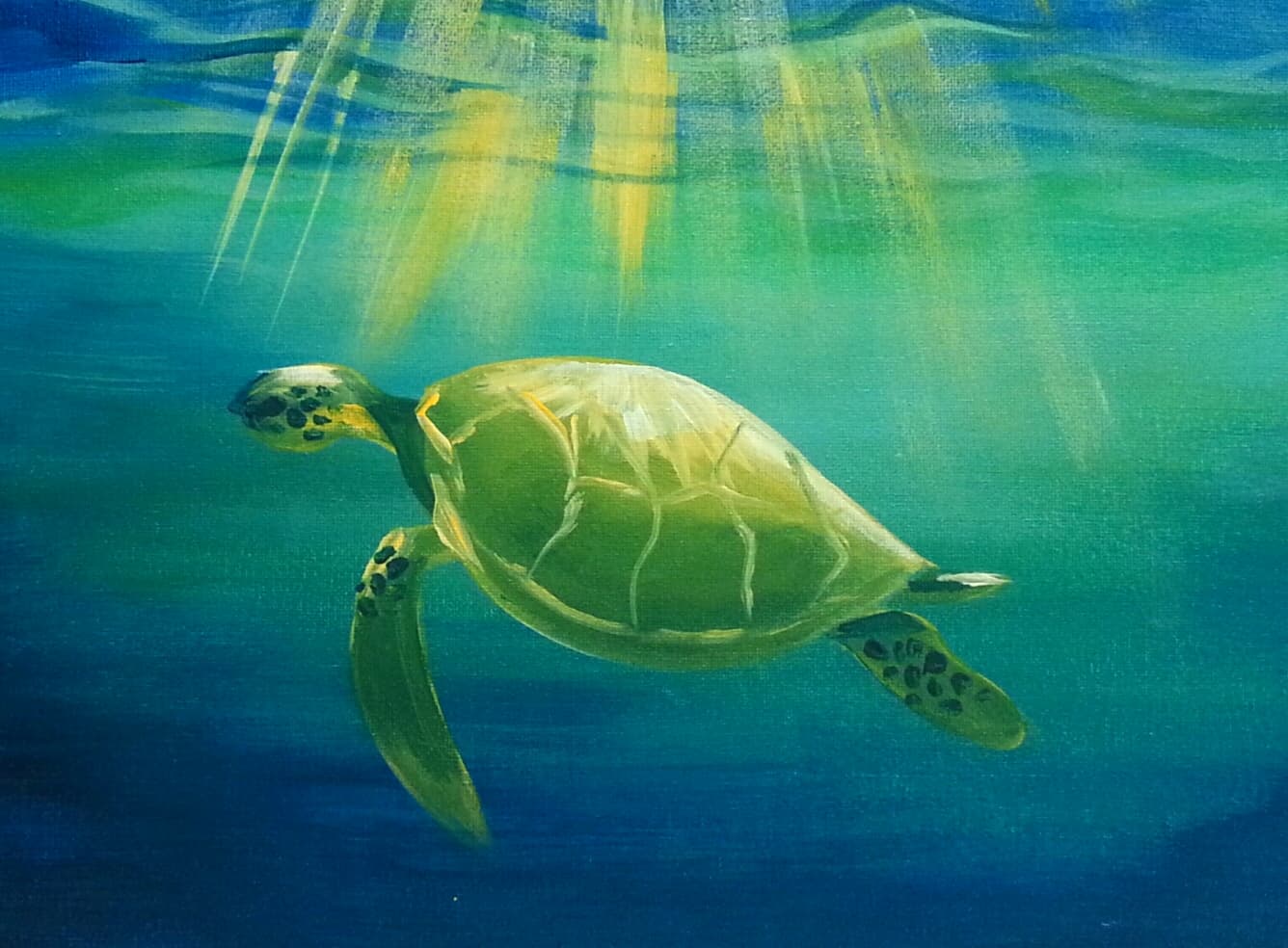 Serene Sea Turtle