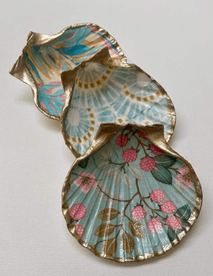 Scallop Shell Trio