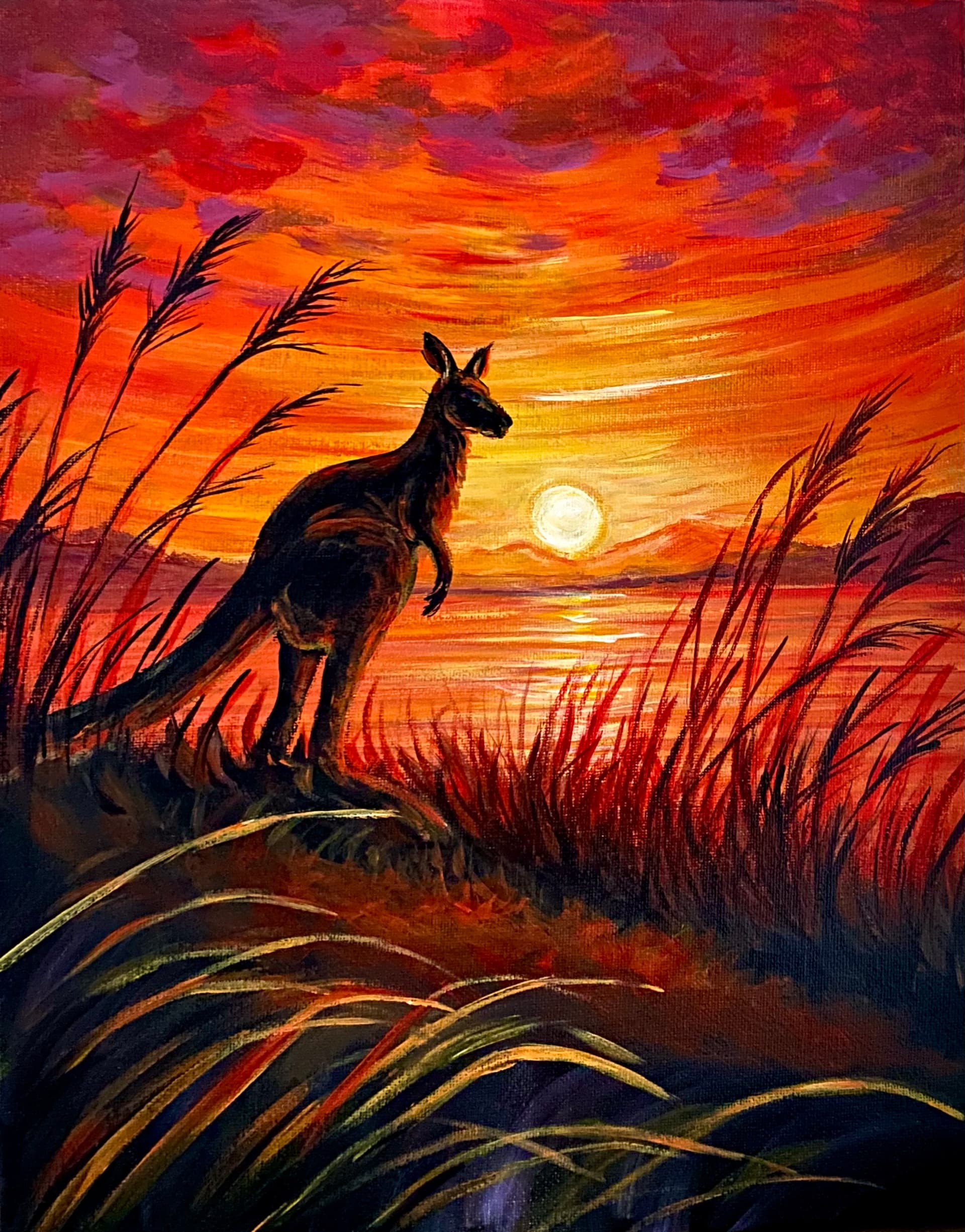 Kangaroo At Sunset