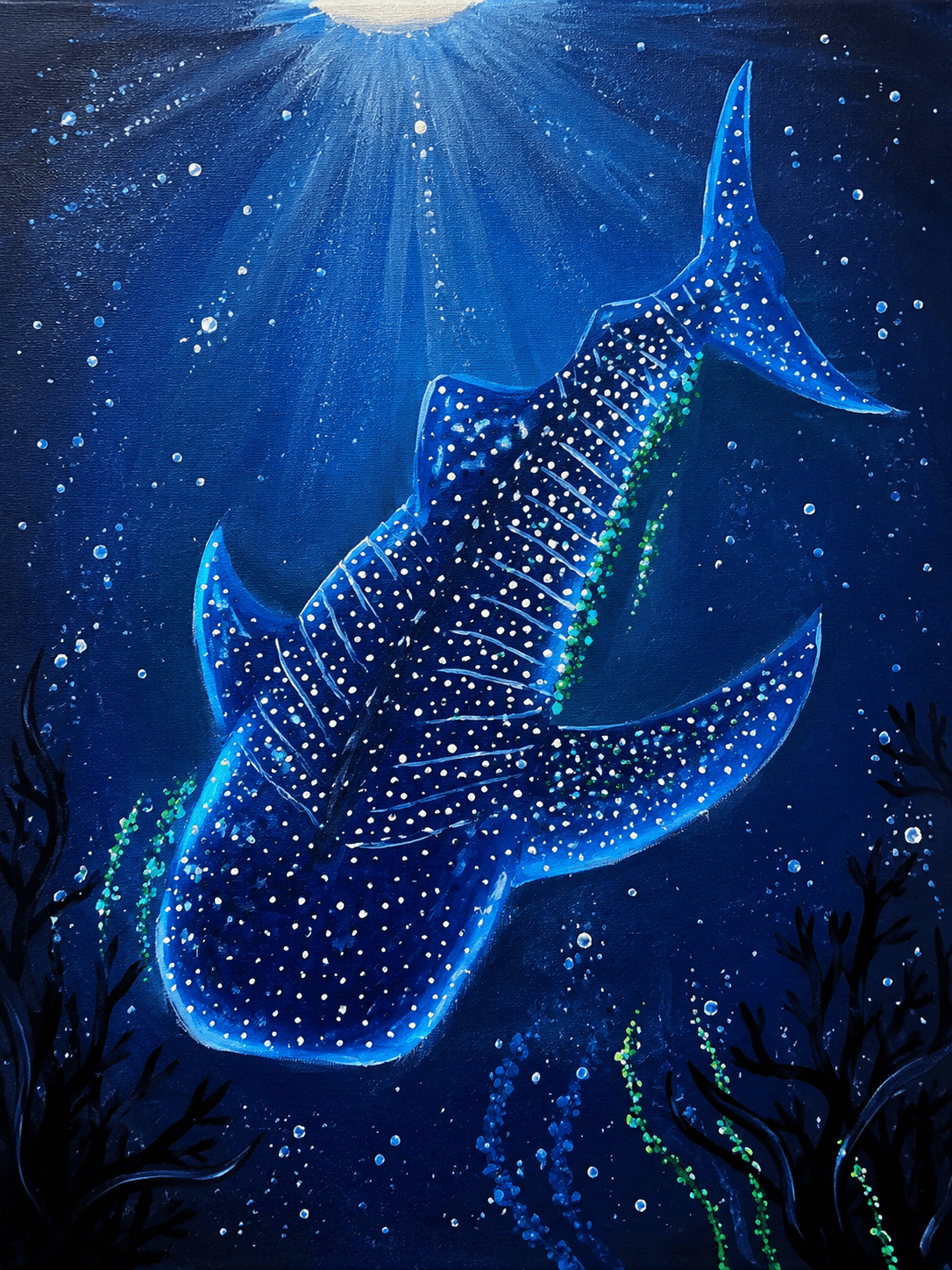 Ocean Guardian