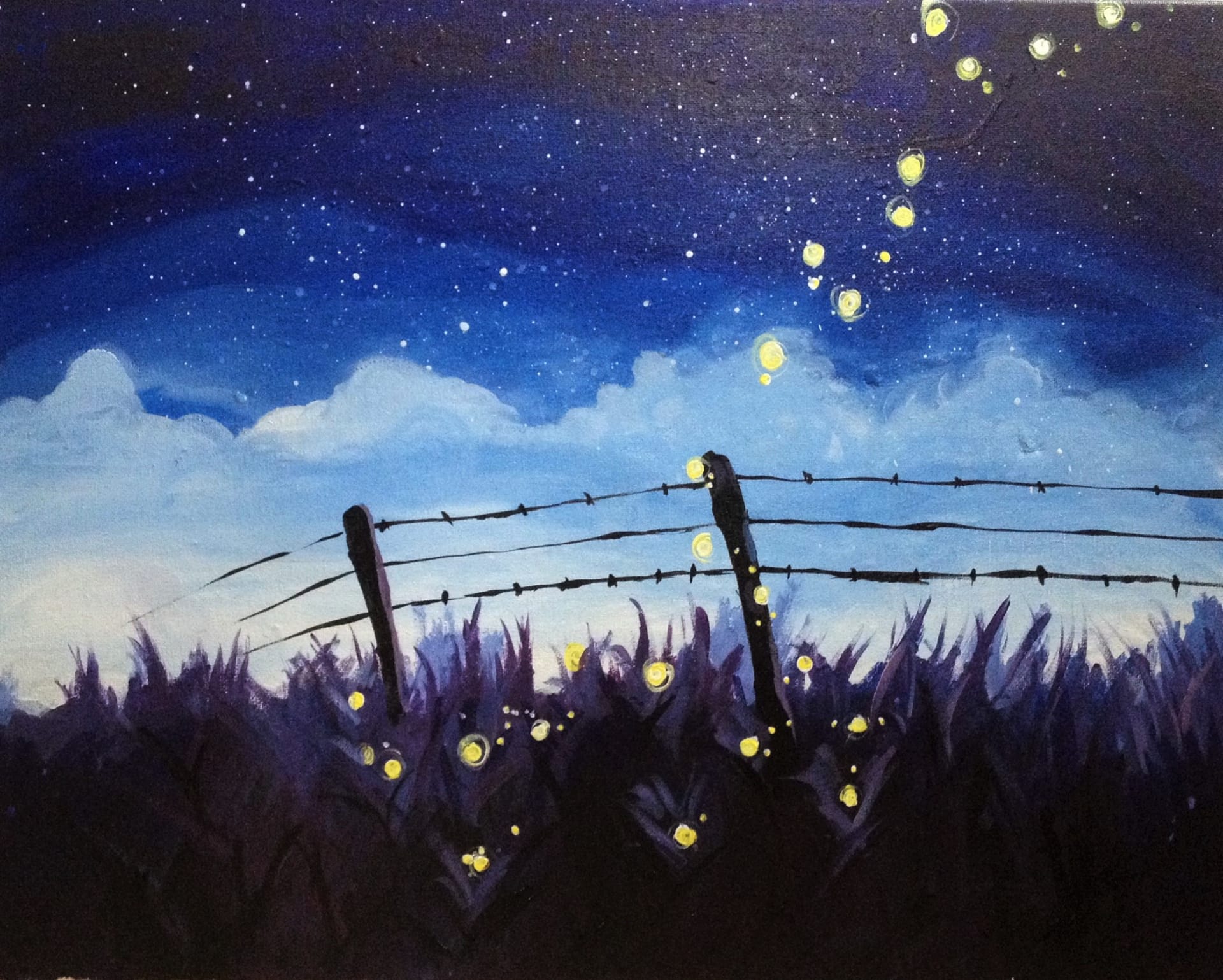 Firefly's and Starry Skies, September 17th, Hi Wire Brewing Durham — Painting