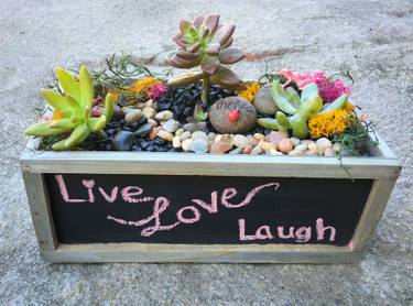 Earth Day Terrarium Workshop at Campmor — Painting