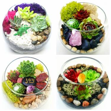 Sushi & Succulents — Painting