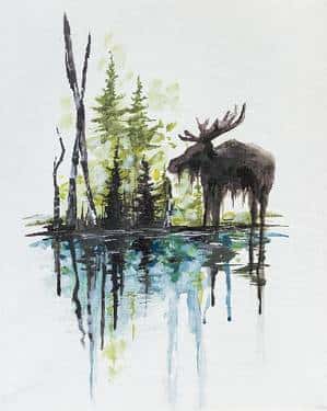 Bruce The Moose Meets Spruce