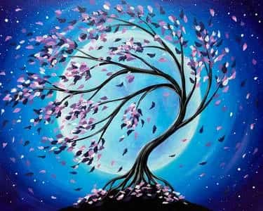 Moonlight Cherry Blossoms