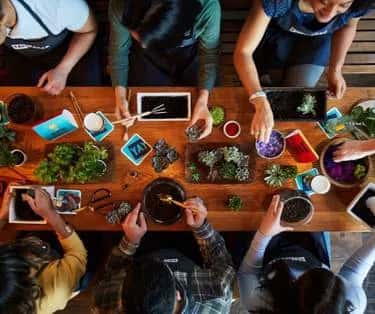 Plant Nite Workshop- Choose your Design