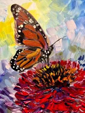 Monarch on a Zinnia