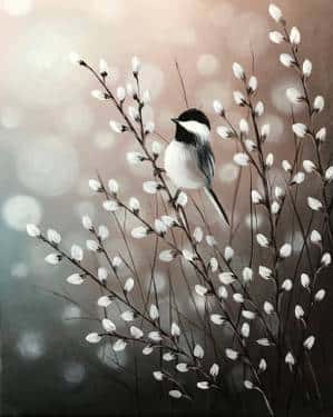 Chickadee Radiance