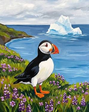 Puffin at Witless Bay — Painting