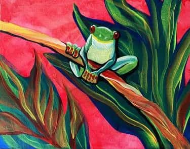 Tropical Tree Frog