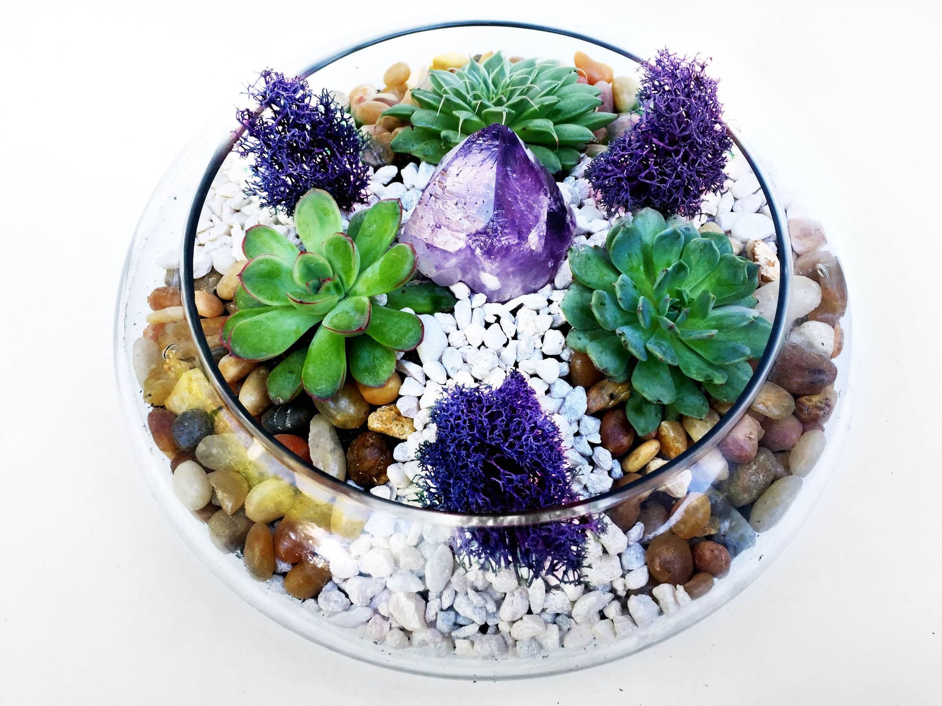 Glass Lily Bowl Succulent Terrarium W/River Rocks and Amethyst Crystal