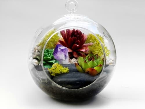 Hanging Glass Globe Succulent Terrarium W/Large Black Rocks & Amethyst Crystal