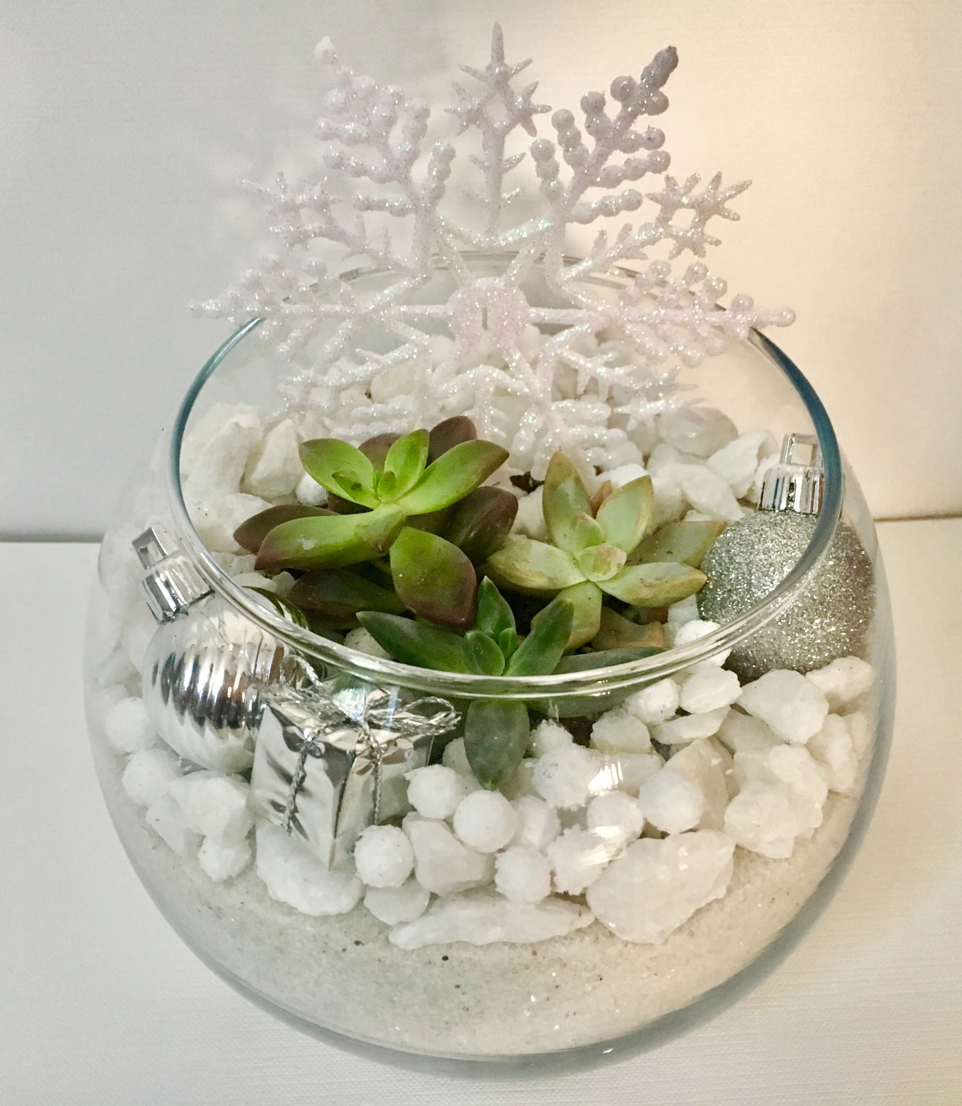 White Christmas Succulent Terrarium-Rose Bowl